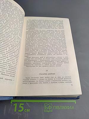 История моего современника. Книги третья и четвертая
