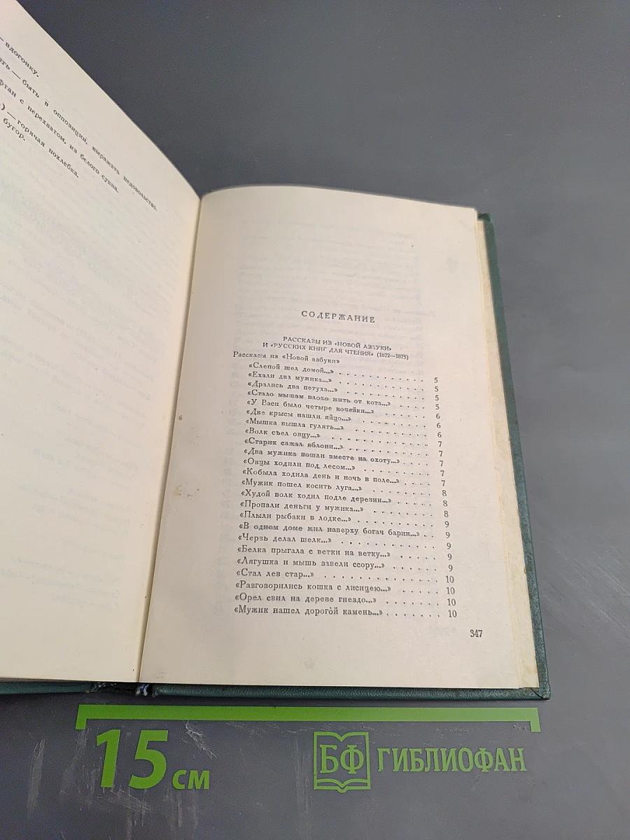Собрание сочинений. Том десятый: Повести и рассказы (1872-1886)