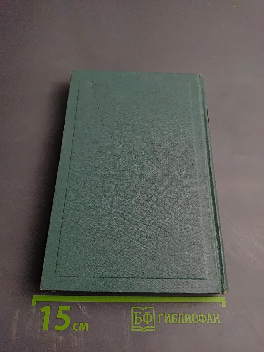 Собрание сочинений. Том десятый: Повести и рассказы (1872-1886)