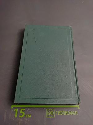 Собрание сочинений. Том десятый: Повести и рассказы (1872-1886)