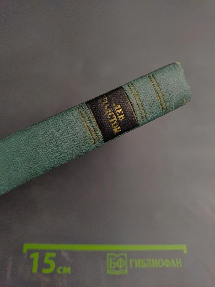 Собрание сочинений. Том десятый: Повести и рассказы (1872-1886)