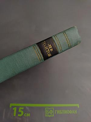 Собрание сочинений. Том десятый: Повести и рассказы (1872-1886)