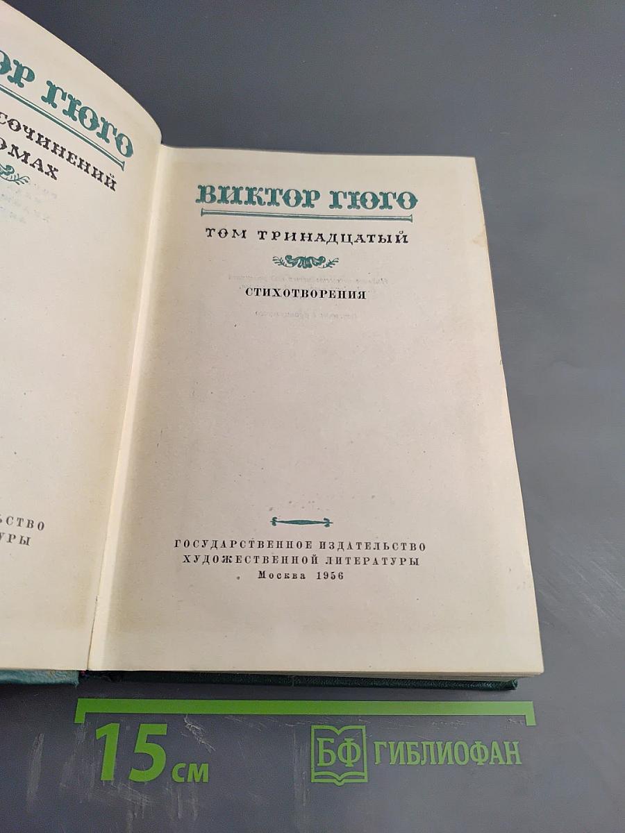 Собрание сочинений. Том тринадцатый: Стихотворения. Из книги «Грозный год»
