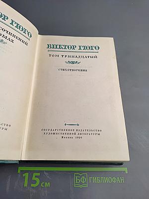 Собрание сочинений. Том тринадцатый: Стихотворения. Из книги «Грозный год»