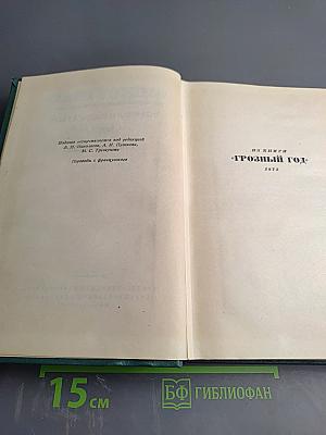 Собрание сочинений. Том тринадцатый: Стихотворения. Из книги «Грозный год»