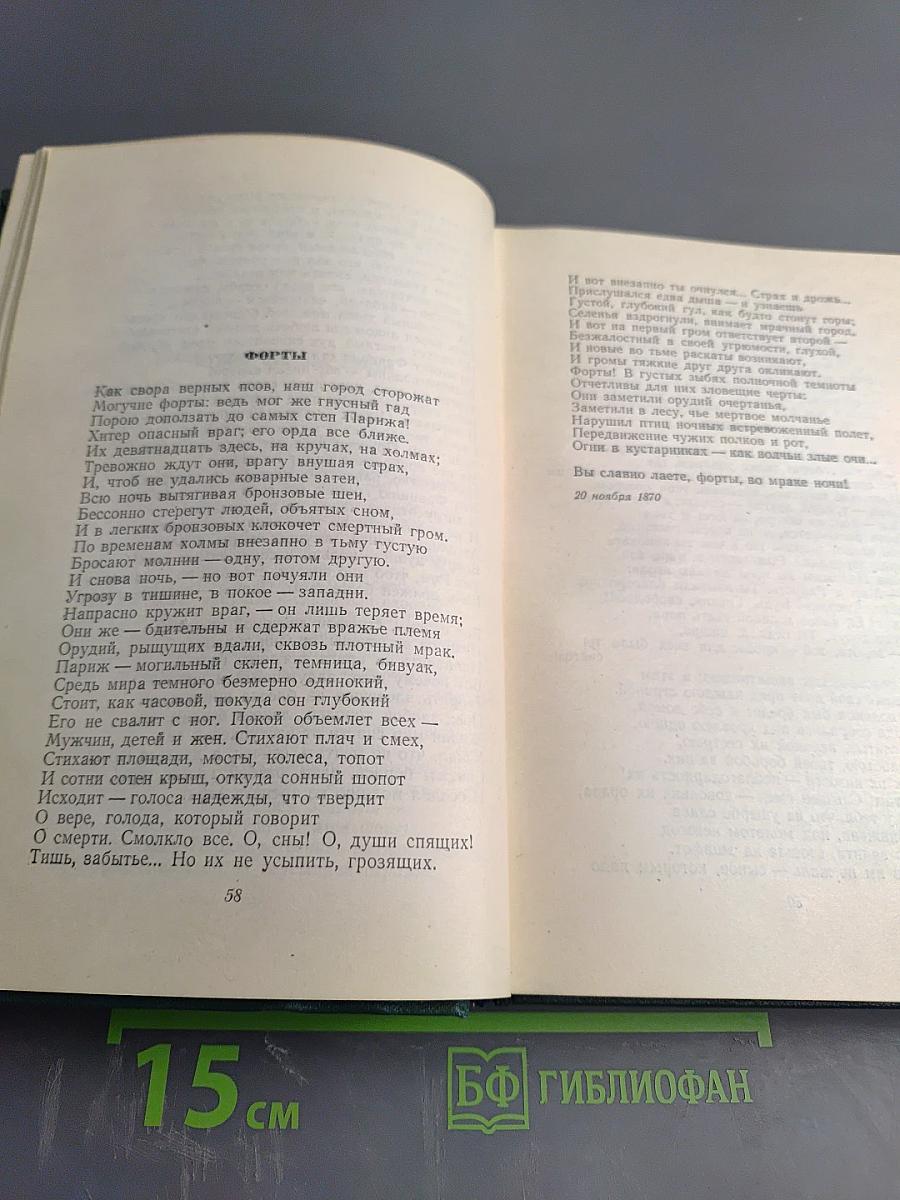 Собрание сочинений. Том тринадцатый: Стихотворения. Из книги «Грозный год»