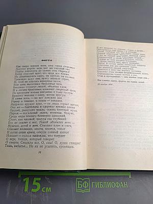Собрание сочинений. Том тринадцатый: Стихотворения. Из книги «Грозный год»