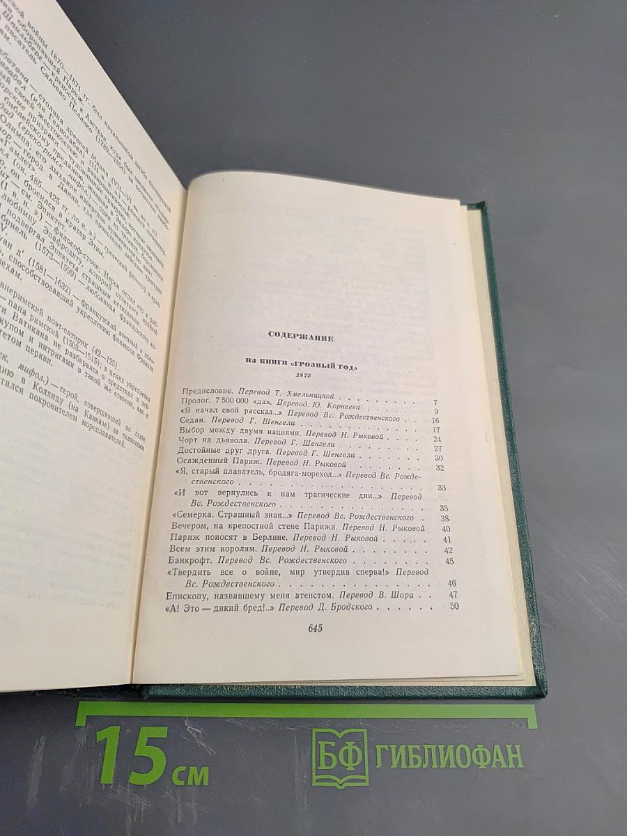 Собрание сочинений. Том тринадцатый: Стихотворения. Из книги «Грозный год»