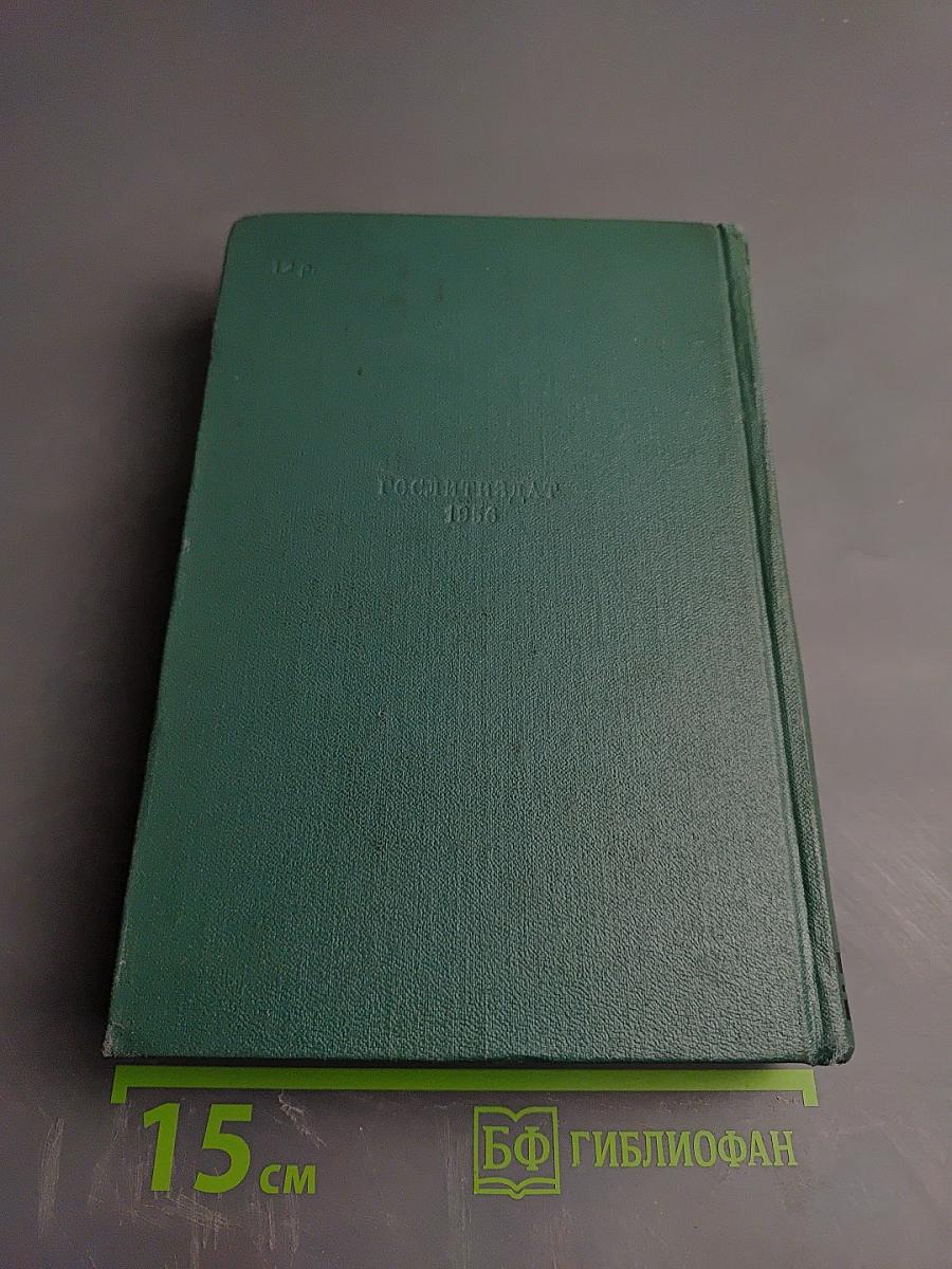 Собрание сочинений. Том тринадцатый: Стихотворения. Из книги «Грозный год»