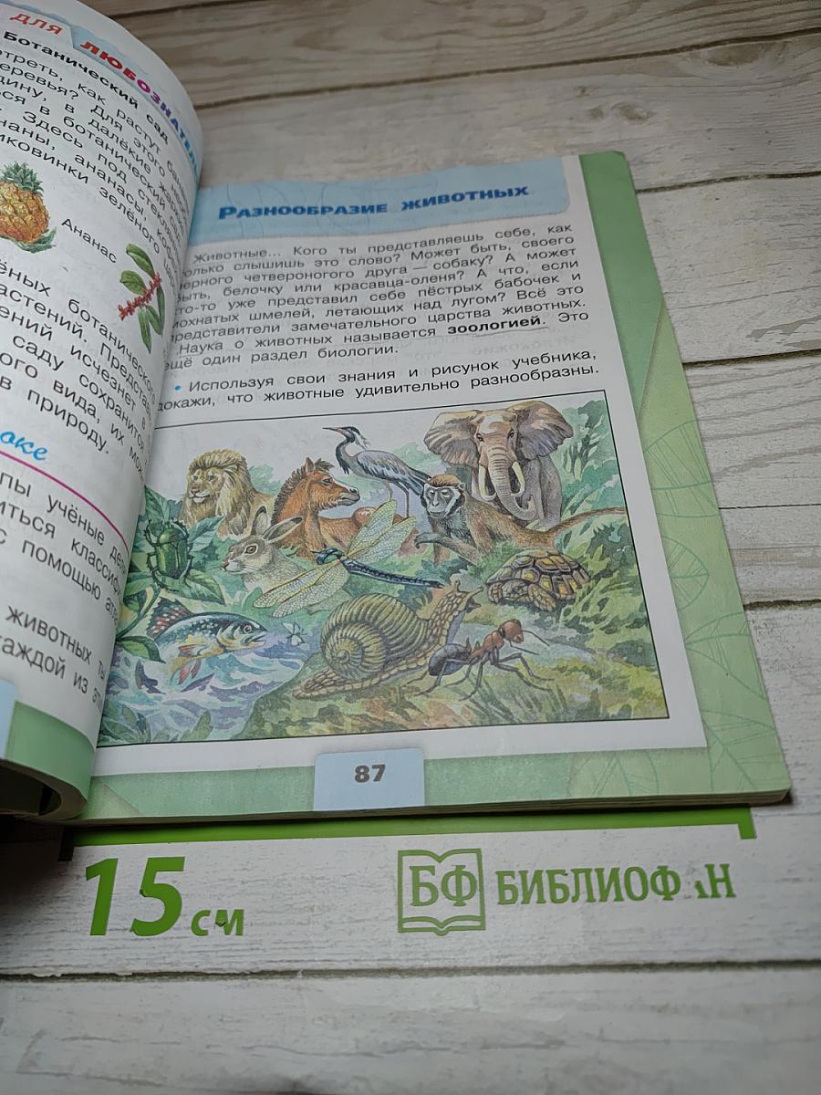 Окружающий мир 3 класс Часть 1
