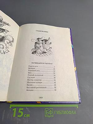 Усатый-полосатый