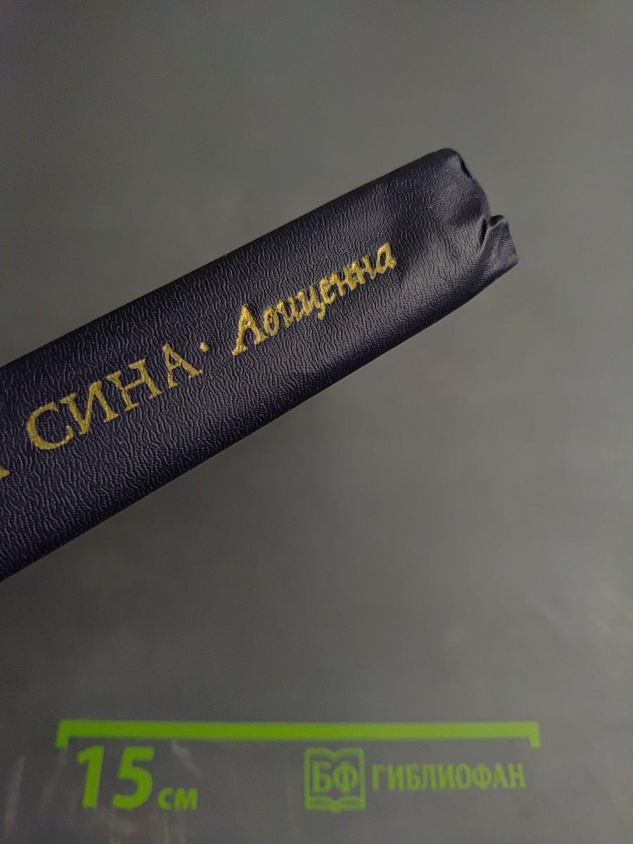 Ибн Сина (Авиценна): Страницы великой жизни