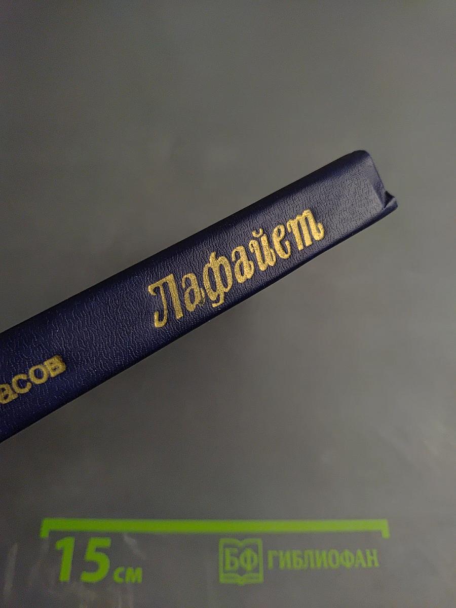 Лафайет. Политическая биография