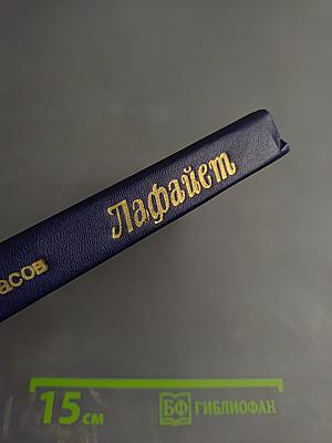 Лафайет. Политическая биография