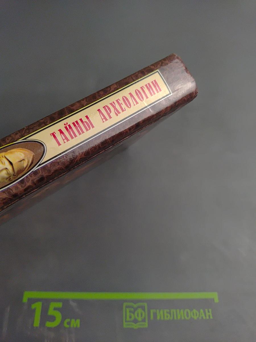 Тайны археологии. Радость и проклятие великих открытий