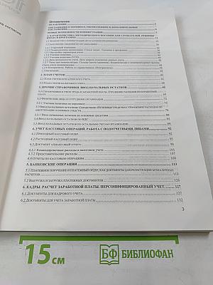 1С:Предприятие 8. Использование конфигурации "Бухгалтерия предприятия" (пользовательские режимы)