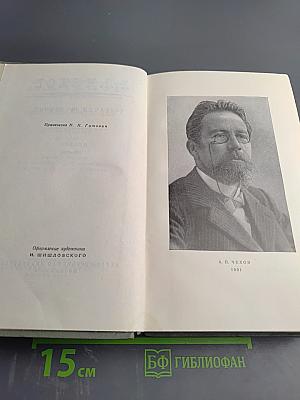Собрание сочинений. Том двенадцатый. Письма 1888-1904
