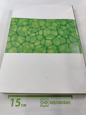 Ренессанс пиявколечения в России. XX-XXI век