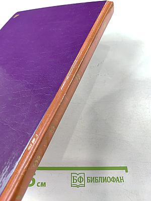 АБВ гуляли по Неве