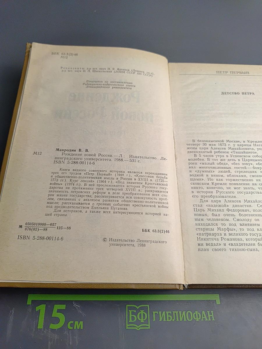 Рождение новой России