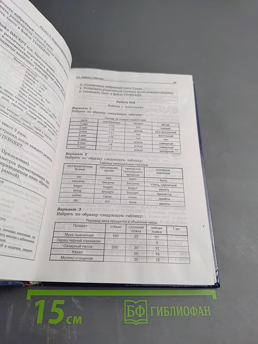 Информатика. Задачник-практикум. Том 2. Для 7-11 классов