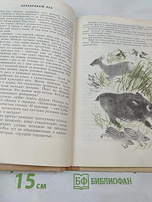 Поющий бархан