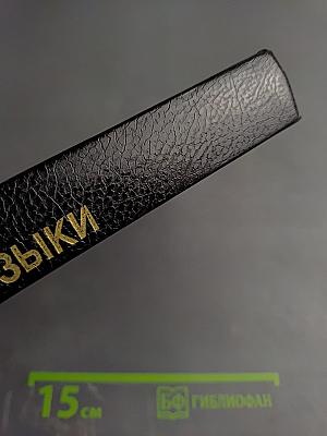 Кумиры западной поп- и рок-музыки