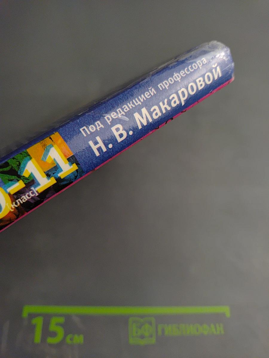 Информатика 10-11 класс