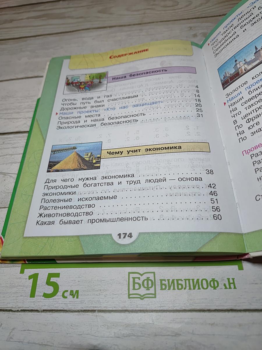 Окружающий мир. 3 класс. Часть 2