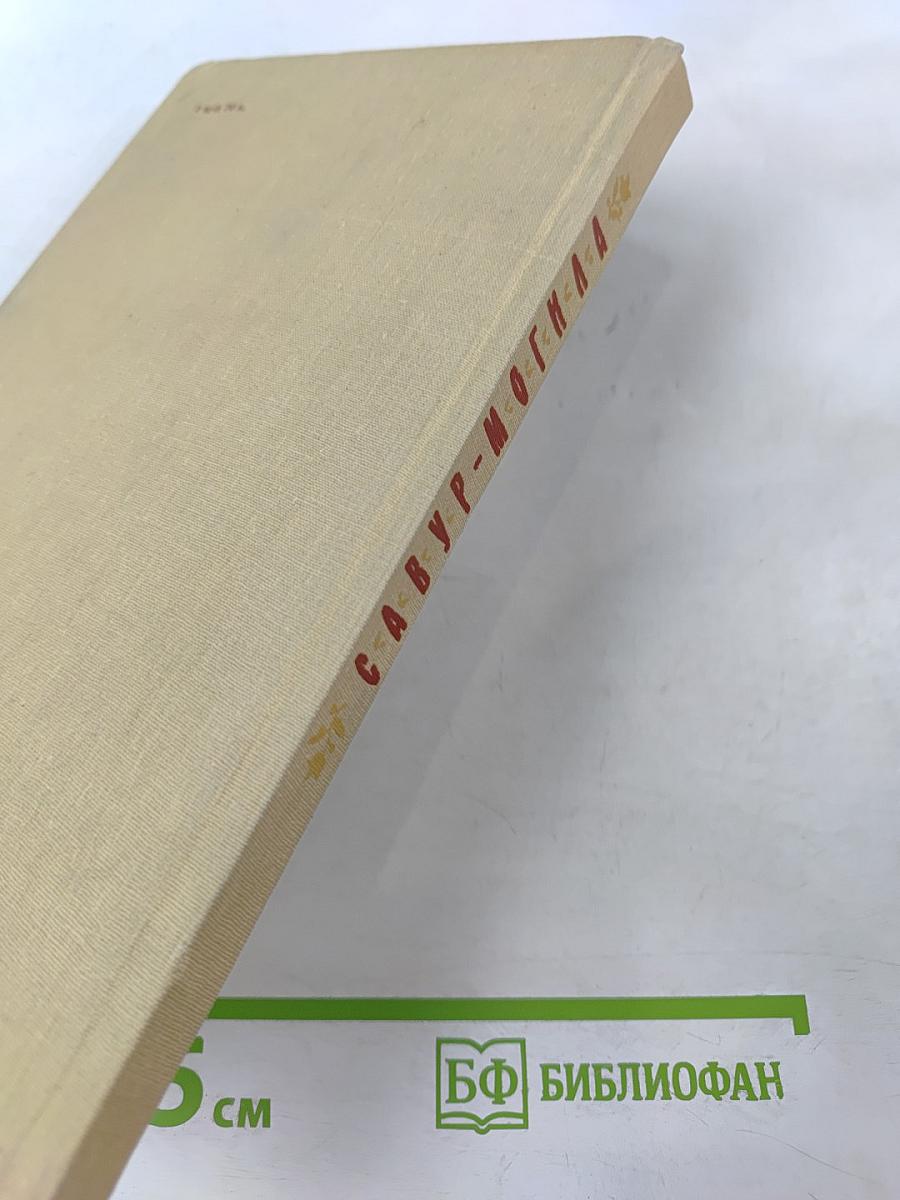 САВУР-МОГИЛА. Легенди та перекази Нижньої Наддніпрянщини