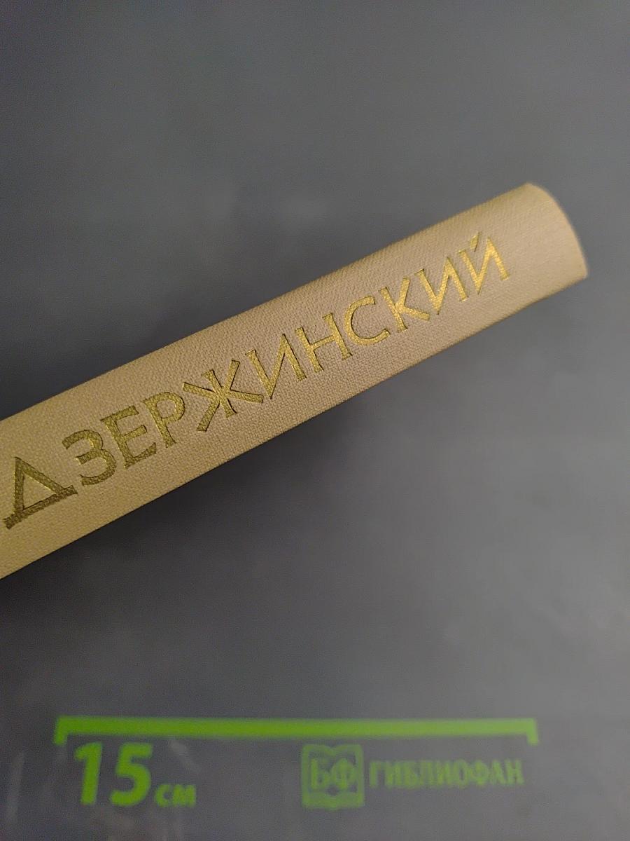 Ф. Э. Дзержинский. Биография