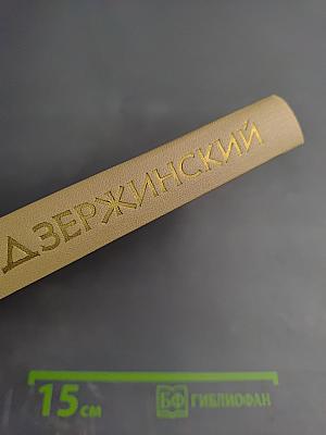 Ф. Э. Дзержинский. Биография