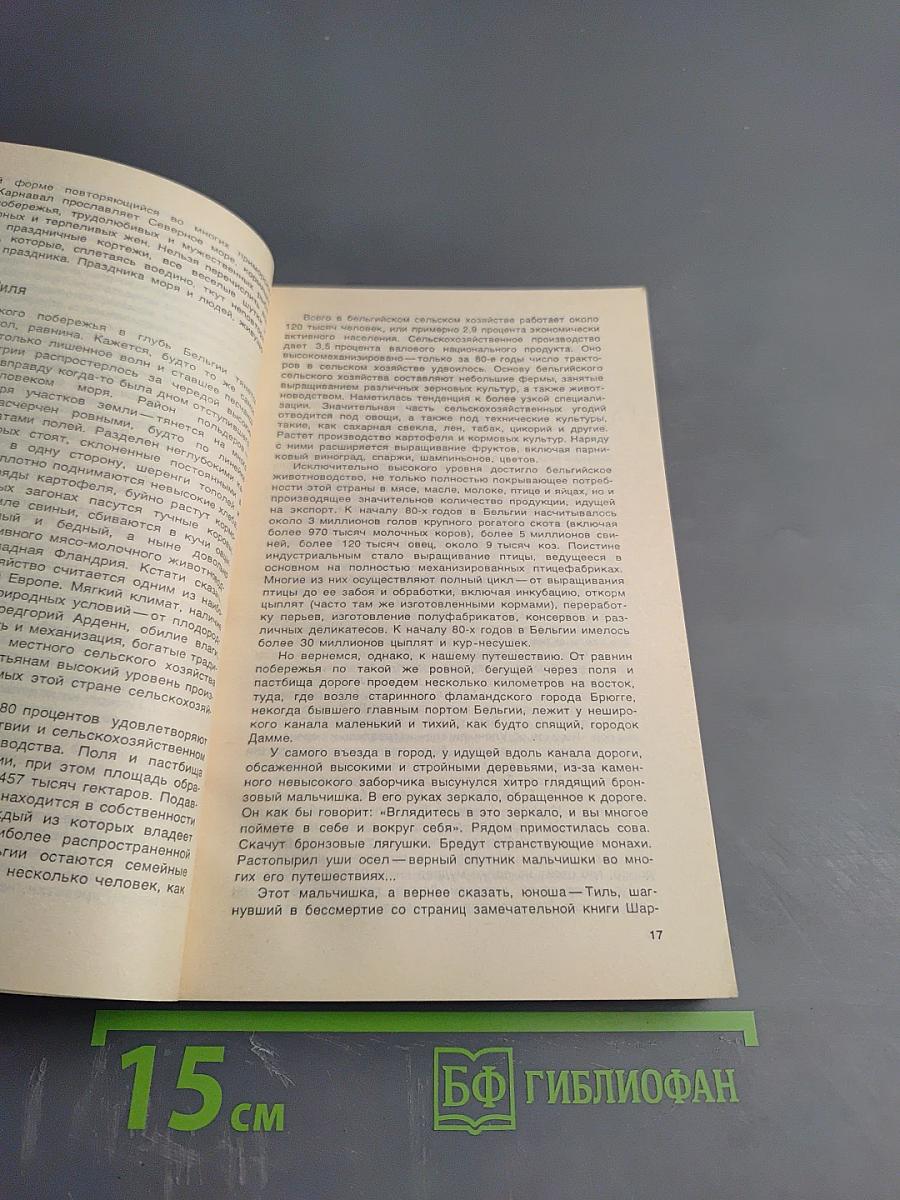 На перекрестке дорог, культур, истории. Очерки о Бельгии и Люксембурге