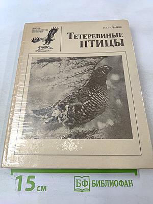 Тетеревиные птицы