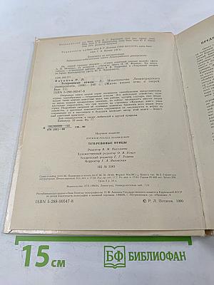 Тетеревиные птицы