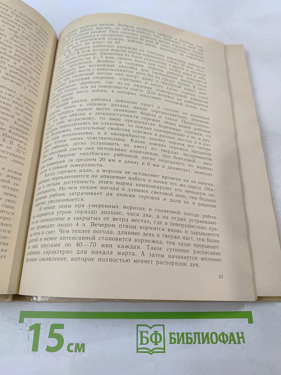 Тетеревиные птицы