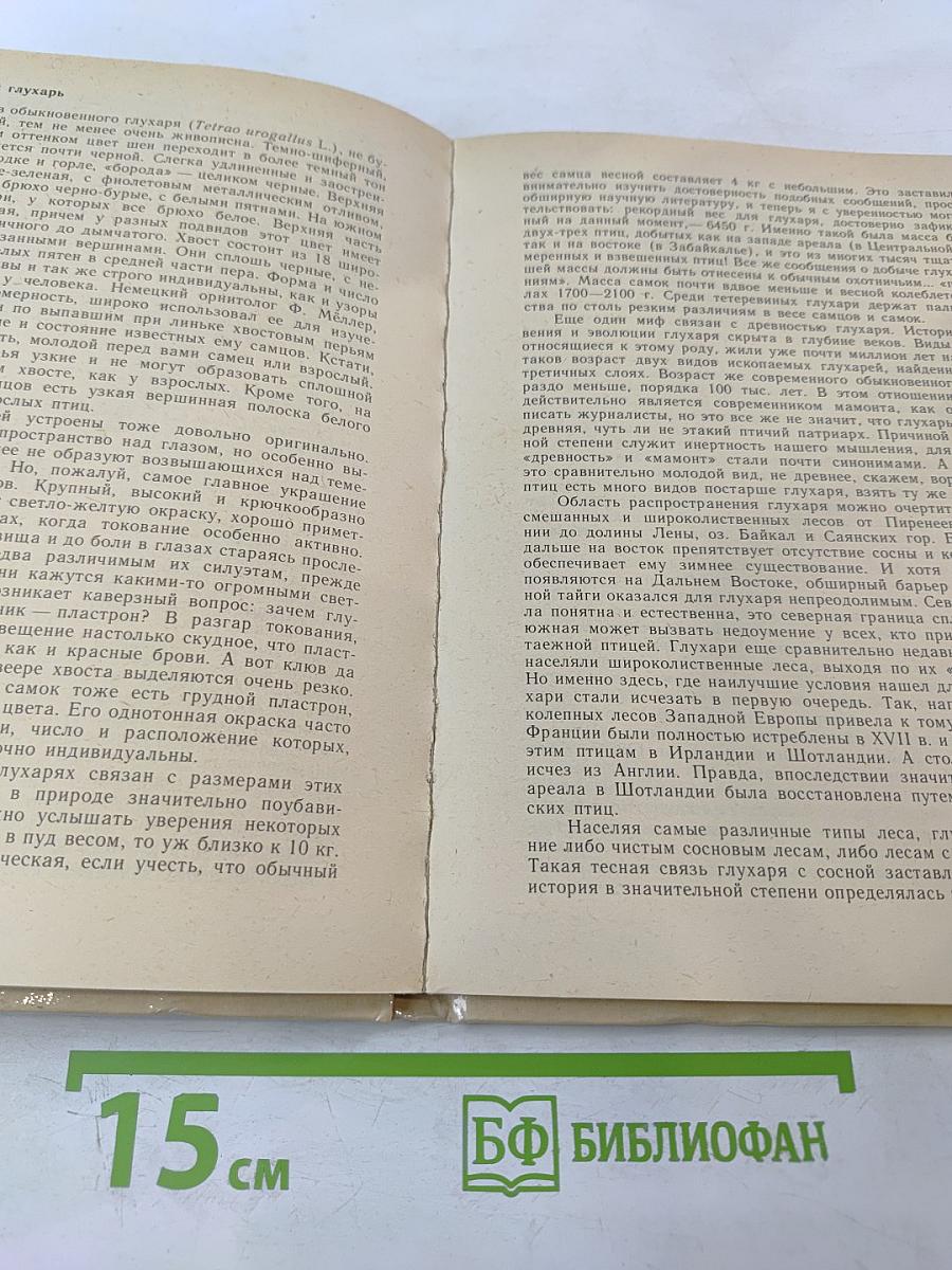 Тетеревиные птицы