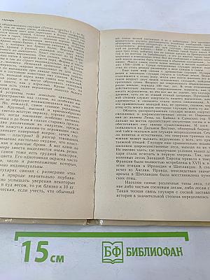 Тетеревиные птицы