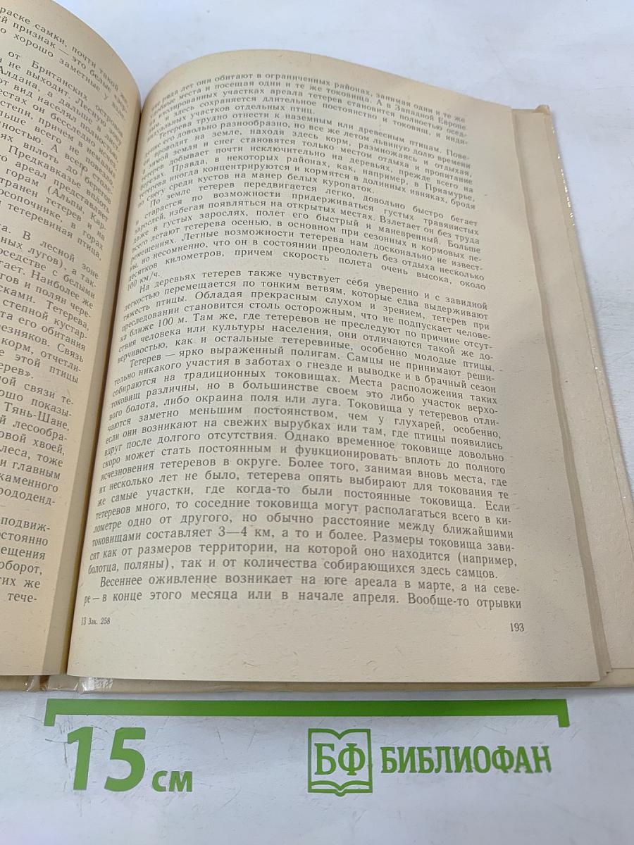 Тетеревиные птицы