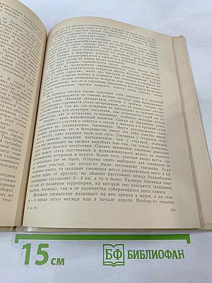 Тетеревиные птицы