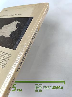 Тетеревиные птицы