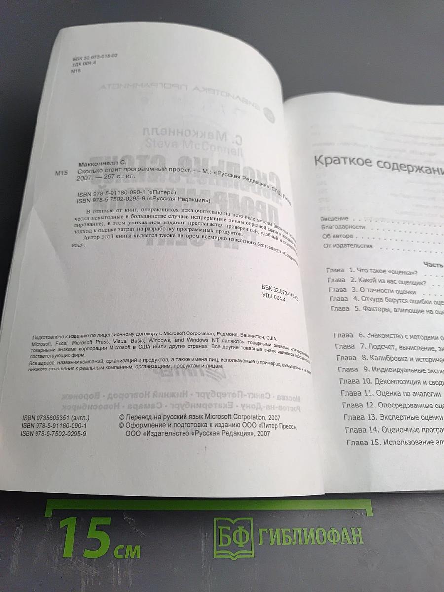 Сколько стоит программный проект