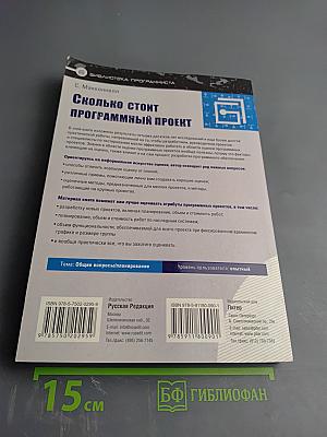Сколько стоит программный проект