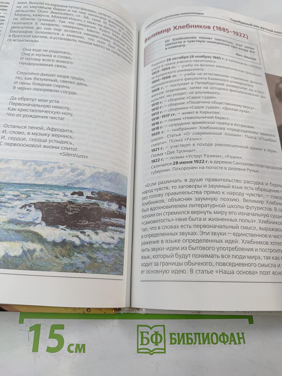 Современная школьная энциклопедия: Русская литература XIX-XX веков