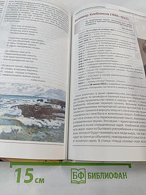 Современная школьная энциклопедия: Русская литература XIX-XX веков