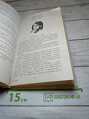 Русская литература XX века. 11 класс, Часть 1