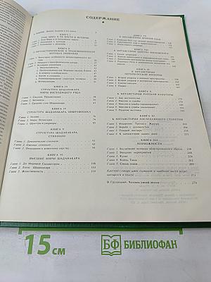 Роза Мира. Метафилософия истории