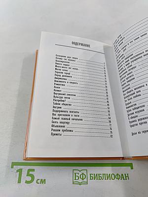 Поребрик из бордюрного камня. Сравнительное петербургомосквоведение