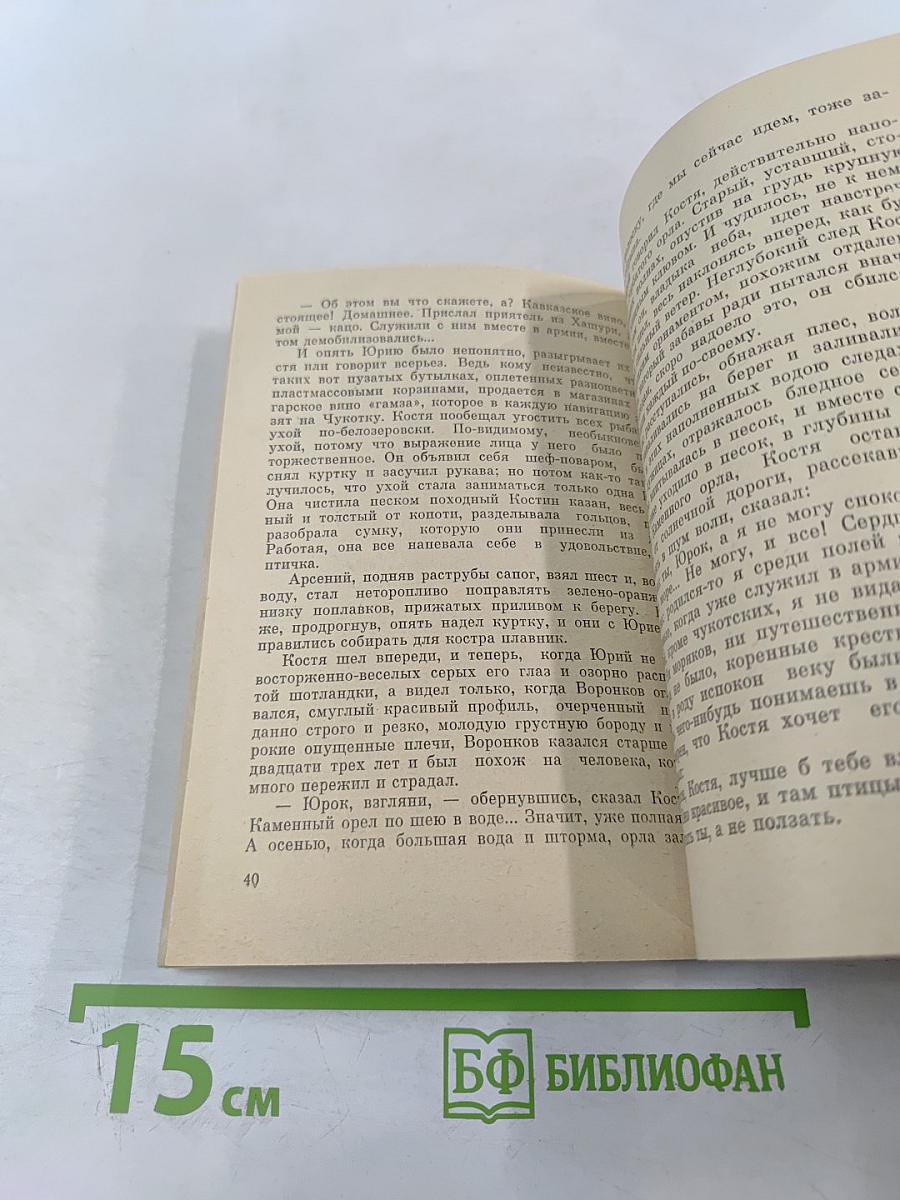 Элыталгин-Розовая чайка