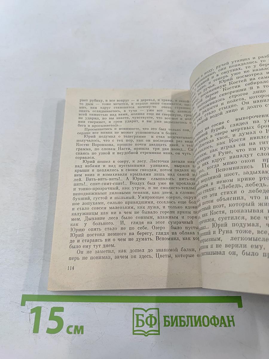 Элыталгин-Розовая чайка